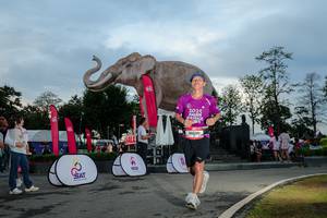 BIB: 
                            <button type="button" onclick="openModal(26529428)" class="btn btn-primary btn-sm float-right btn-popup" data-toggle="modal" data-target=".modal-high-quality">
                        <i class="fas fa-shopping-cart"></i> Add to Cart
                    </button>
                                            <button type="button" onclick="isThisMe(26529428, true)" class="btn btn-success btn-sm float-right btn-popup btn-isme hidden" data-toggle="tooltip" data-placement="bottom" title="นี่คือรูปของคุณใช่ไหม คลิกที่นี่เพื่อเอาเข้าอัลบั้ม">
                        <i class="fas fa-plus"></i> Add to album
                    </button>
                    <button type="button" onclick="isThisMe(26529428, false)" class="btn btn-warning btn-sm float-right btn-popup btn-isnotme hidden">
                        <i class="fas fa-ban"></i> Remove from album
                    </button>